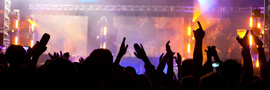 Live Music and Shows