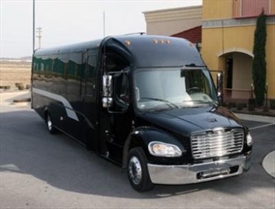 Mini-Bus - Limo / Party Style 