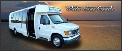 Mini-Bus - Limo / Party Style 