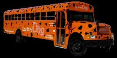 Mini-Bus - Limo / Party Style 