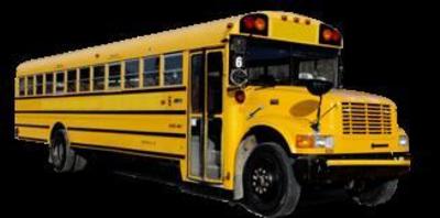 Mini-Bus - Limo / Party Style 