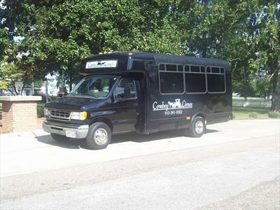 Mini-Bus - Limo / Party Style 