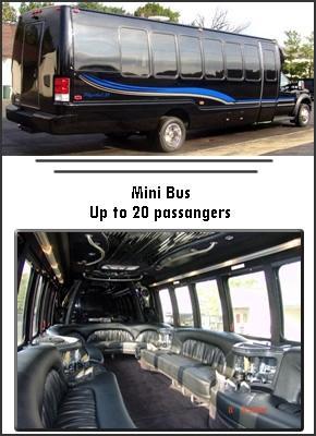 Mini-Bus - Limo / Party Style 