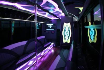 Mini-Bus - Limo / Party Style 