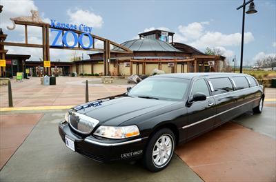 Stretch Limo - Lincoln Town Car