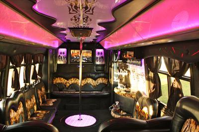Mini-Bus - Limo / Party Style 