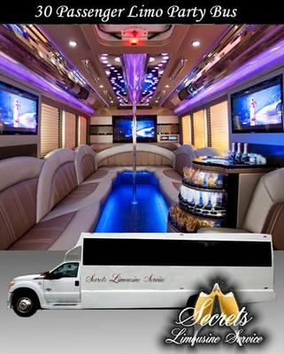 Mini-Bus - Limo / Party Style 