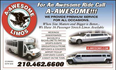 Mini-Bus - Limo / Party Style 