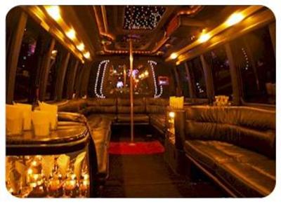 Mini-Bus - Limo / Party Style 