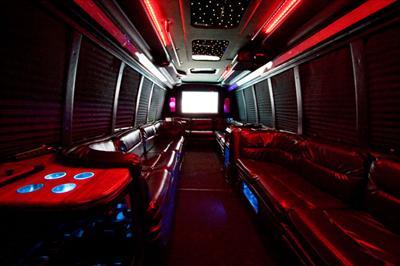 Mini-Bus - Limo / Party Style 