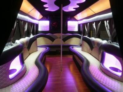 Mini-Bus - Limo / Party Style 
