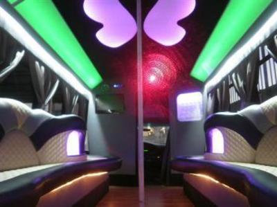 Mini-Bus - Limo / Party Style 