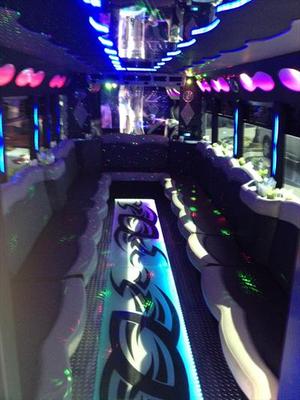 Mini-Bus - Limo / Party Style 