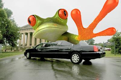 Stretch Limo - Lincoln Town Car