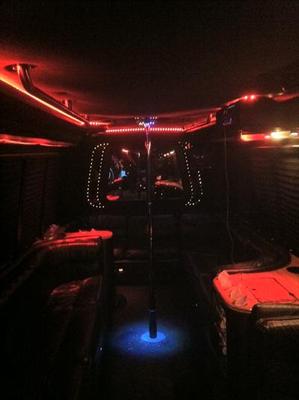 Mini-Bus - Limo / Party Style 