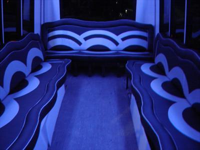 Mini-Bus - Limo / Party Style 