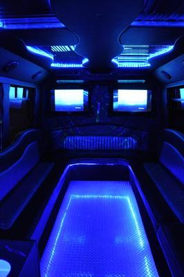Mini-Bus - Limo / Party Style 