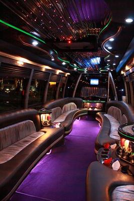 Mini-Bus - Limo / Party Style 