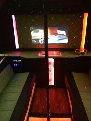 Mini-Bus - Limo / Party Style 