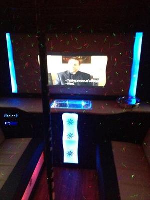 Mini-Bus - Limo / Party Style 
