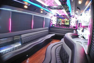 Mini-Bus - Limo / Party Style 