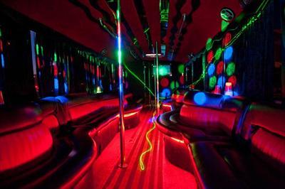 Mini-Bus - Limo / Party Style 