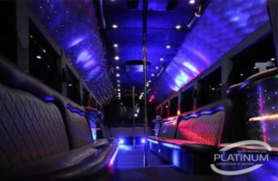 Mini-Bus - Limo / Party Style 