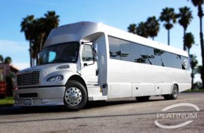 Mini-Bus - Limo / Party Style 