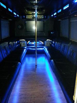 Mini-Bus - Limo / Party Style 