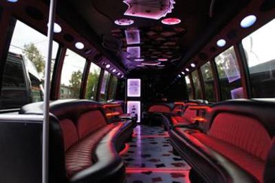 Mini-Bus - Limo / Party Style 