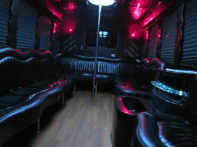 Mini-Bus - Limo / Party Style 