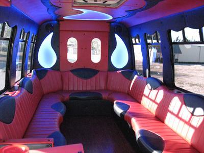 Mini-Bus - Limo / Party Style 