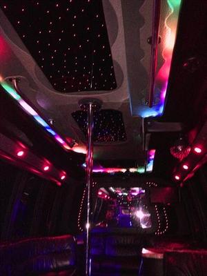 Mini-Bus - Limo / Party Style 