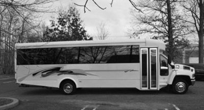 Mini-Bus - Limo / Party Style 