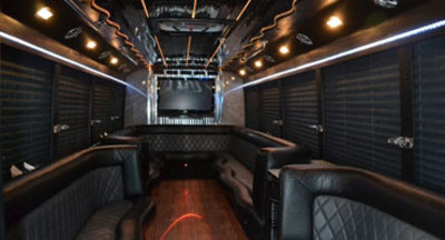 Mini-Bus - Limo / Party Style 