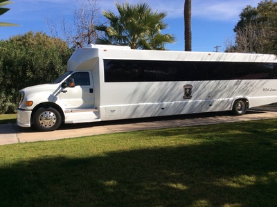 Mini-Bus - Limo / Party Style 