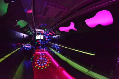 Mini-Bus - Limo / Party Style 
