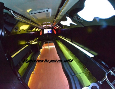Mini-Bus - Limo / Party Style 