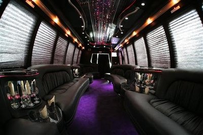 Mini-Bus - Limo / Party Style 