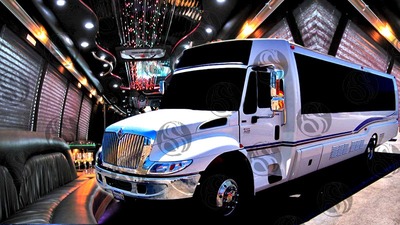 Mini-Bus - Limo / Party Style 
