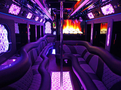 Mini-Bus - Limo / Party Style 
