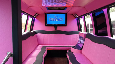 Mini-Bus - Limo / Party Style 