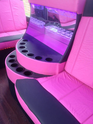 Mini-Bus - Limo / Party Style 