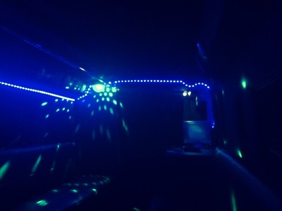 Mini-Bus - Limo / Party Style 