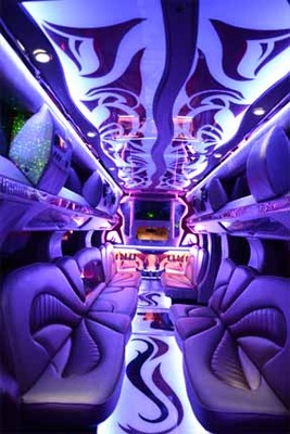 Mini-Bus - Limo / Party Style 