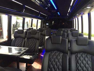 Mini-Bus - Limo / Party Style 
