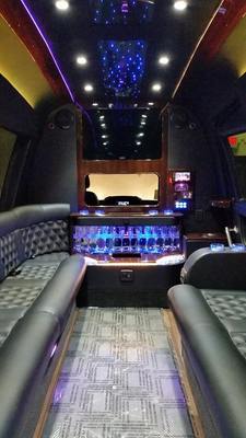 Mini-Bus - Limo / Party Style 
