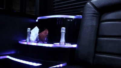 Mini-Bus - Limo / Party Style 