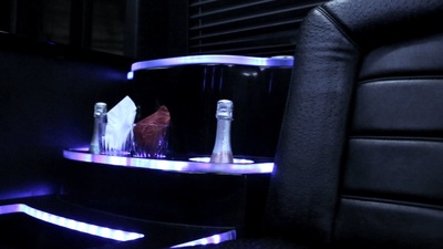 Mini-Bus - Limo / Party Style 