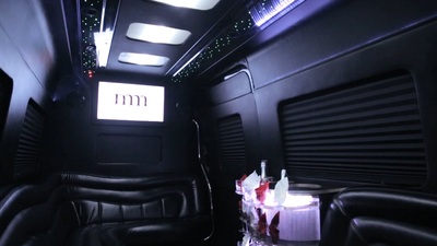 Executive Van - Mercedes Benz Sprinter